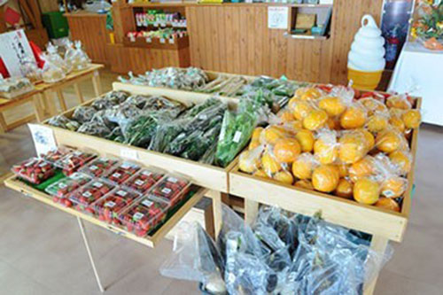 ■農家直送の新鮮野菜コーナー